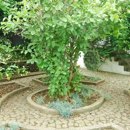 Farm stay Quinta Dos Figos 