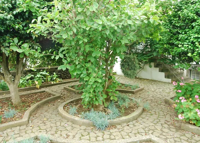 Farma Quinta Dos Figos 